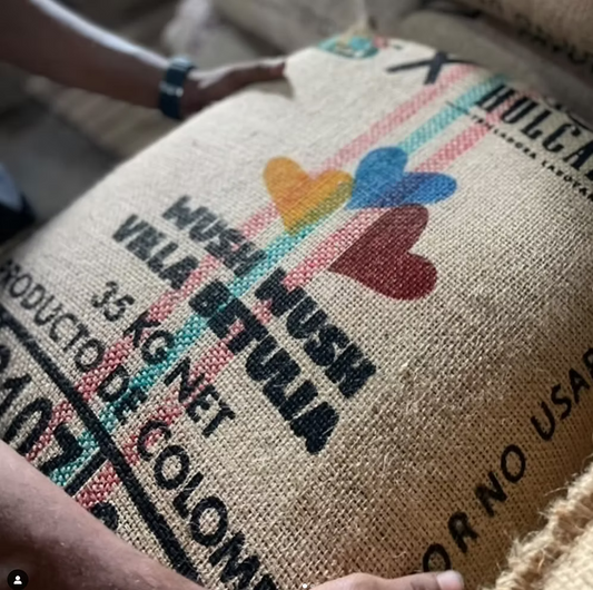 Wush Wush - Columbia - 72 Hour Ferment