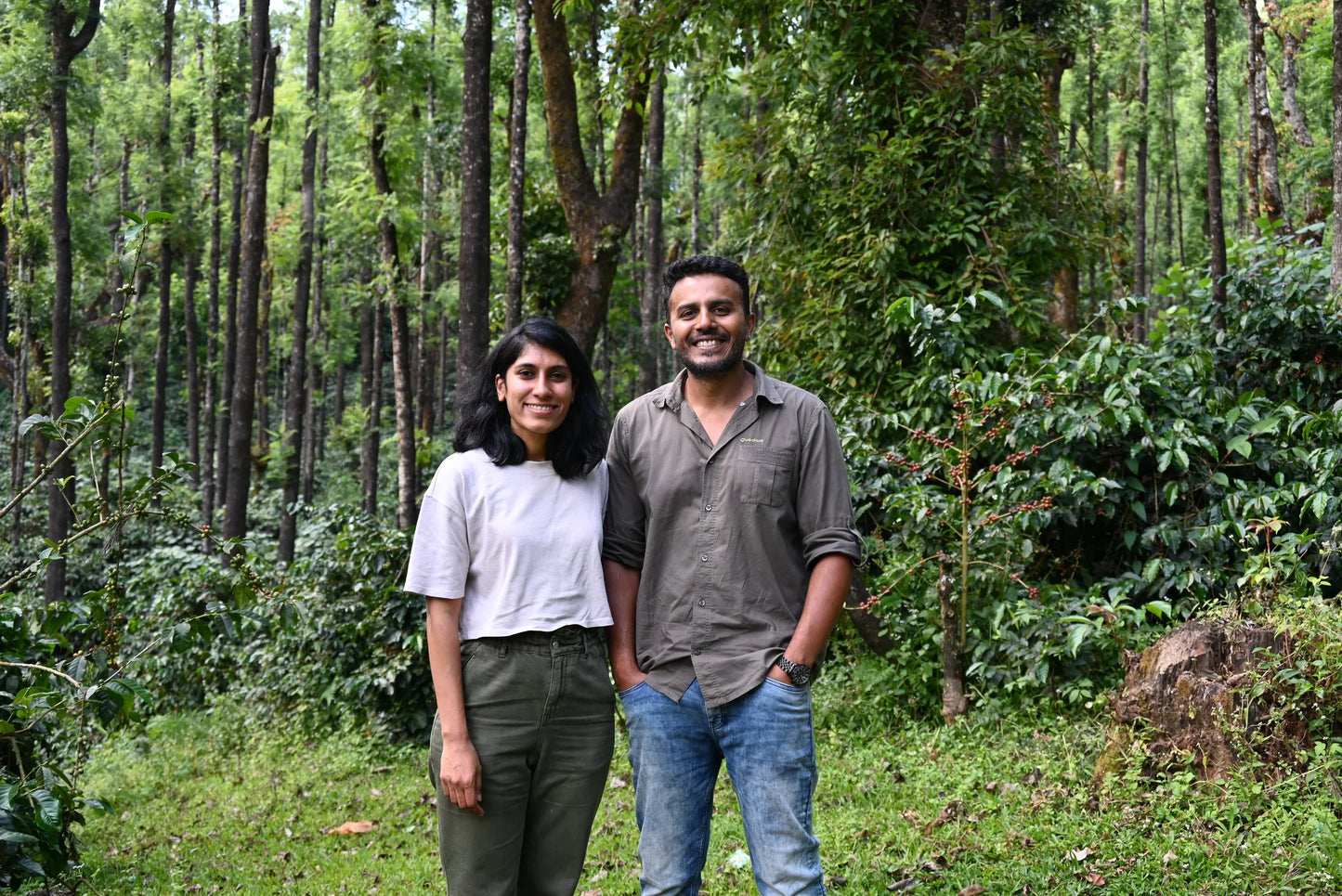 Krishnagiri Estate - Natural - India