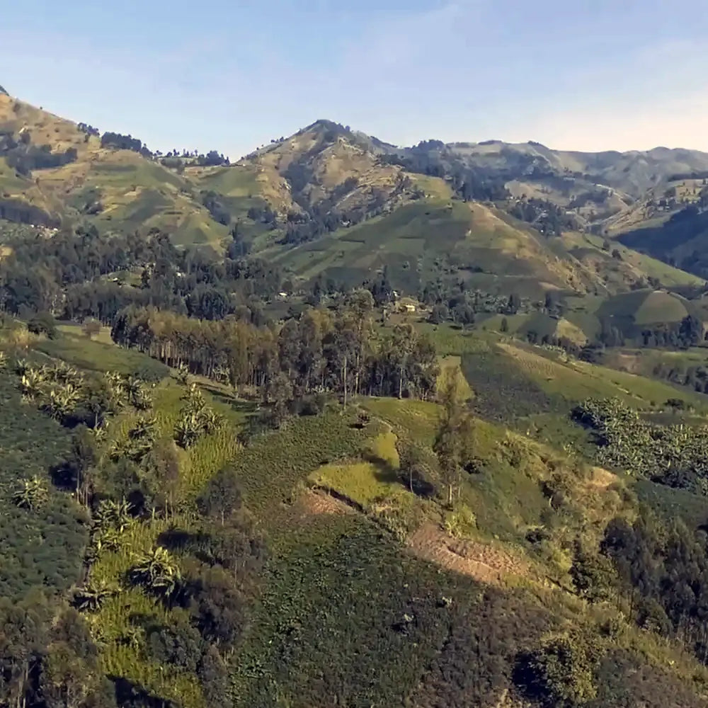Tuinuane - Natural - DR Congo