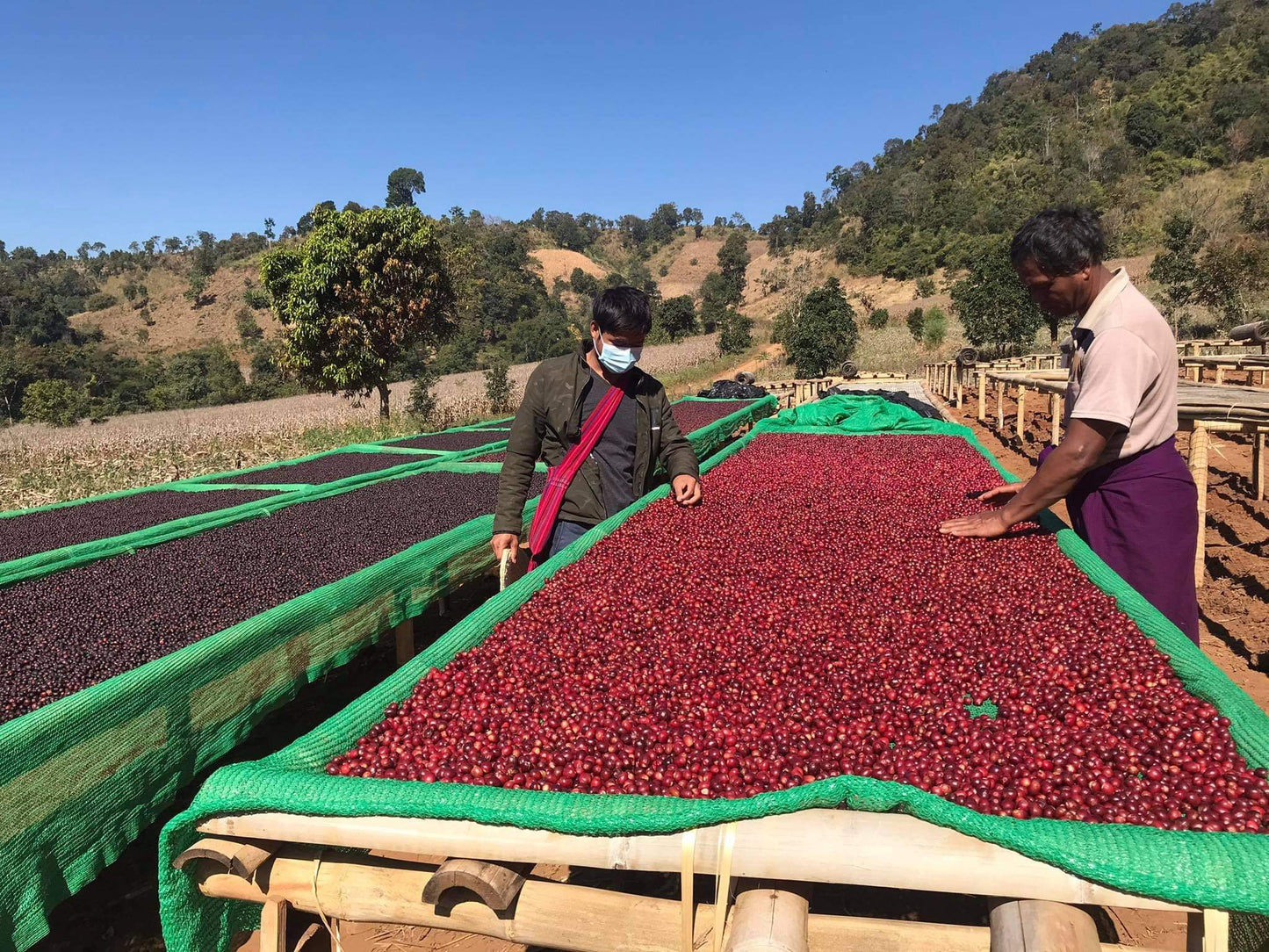 Indigo Mountain - Natural - Myanmar