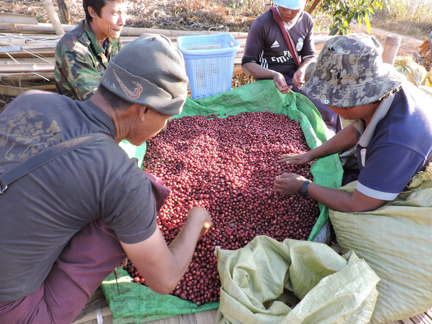 Indigo Mountain - Natural - Myanmar