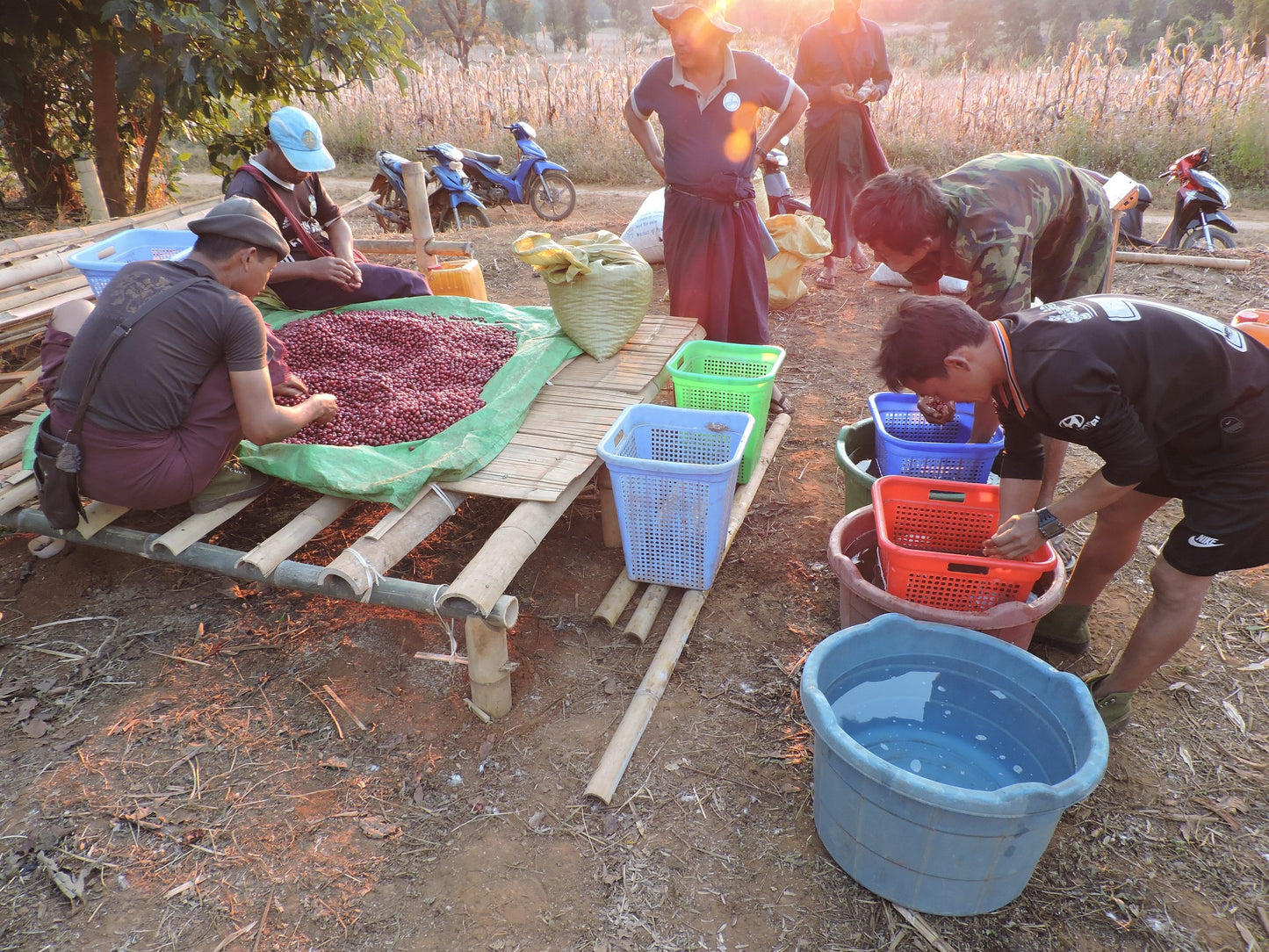 Indigo Mountain - Natural - Myanmar